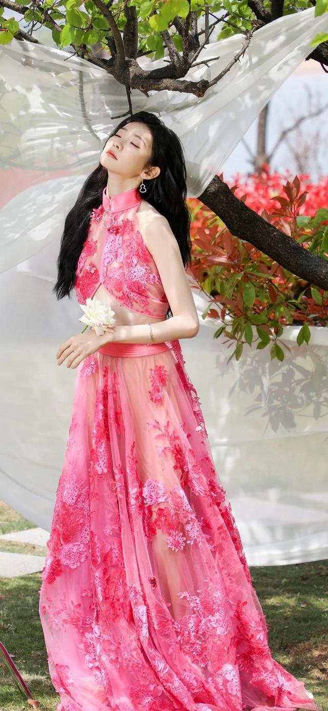 晨光花朵