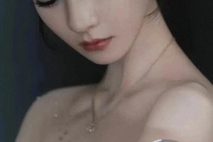 精彩图片集锦：视觉盛宴一览