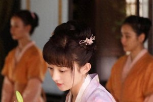 赵丽颖隐婚风波与事业成就全解析