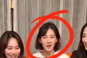 金晨容貌变化引热议：从月牙到直播间的容貌焦虑