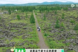 《现在就出发》综艺：阿尔山鼠兔与明星治愈之旅